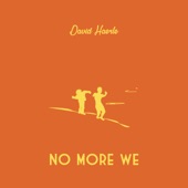 David Haerle - No More We