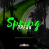 Spring Break Miami 2019: Best of Dance & House, 2019