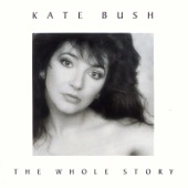 Kate Bush - Running Up That Hill (A Deal With God)