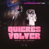 Quieres Volver by Nayo iTunes Track 1