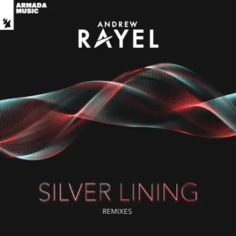 Silver Lining (Flrntn & Tom Klay Remix) by Andrew Rayel song reviws