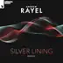 Silver Lining (Flrntn & Tom Klay Remix) song reviews