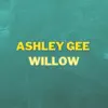 Willow - Single album lyrics, reviews, download