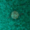 Secret Reality 002 (DJ Mix)