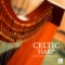 A Fairy's Love Song - Celtic Harp Soundscapes lyrics
