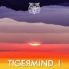 Tigermind, 2021