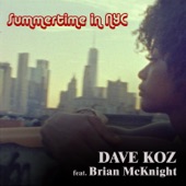 Summertime In NYC (feat. Brian McKnight) artwork