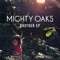 Shells - Mighty Oaks lyrics
