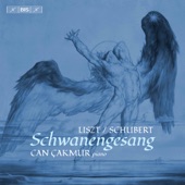 Schwanengesang, S. 560 (After Schubert's D. 957): No. 7, Ständchen artwork