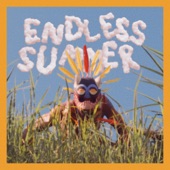 Endless Summer artwork