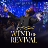 Wind of Revival - Joe Mettle