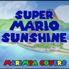 Super Mario Sunshine - Marimba Covers