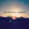 Painkiller - The Strange Familiar lyrics