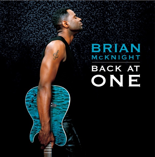 Art for You Could Be The One by Brian McKnight