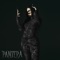 Pantera - Soulfia lyrics