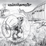 Velocihamster - Fall