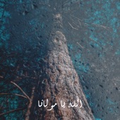 الله يا مولانا artwork