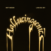 Hallucinogenics (feat. Lana Del Rey) - Matt Maeson Cover Art