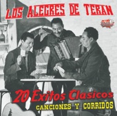 Los Alegres De Teran - Golpe Traidor