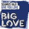 Give You Love (Extended Mix) - Seamus Haji lyrics