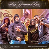 Hele Domme Flex (feat. Max Wallin') artwork