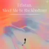 Meet Me in Rockbottom album lyrics, reviews, download