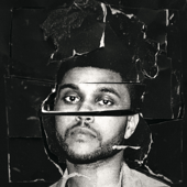 The Weeknd - Shameless Lyrics