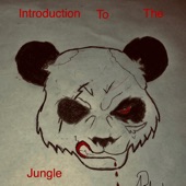 Introduction to the Jungle - EP artwork