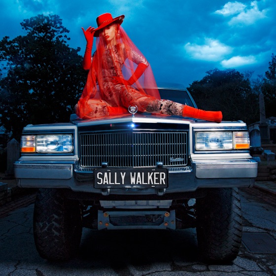 Cover artwork for Sally Walker