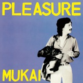 Pleasure artwork