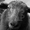 Blap Blap (feat. Heini Ikonen) - Single album lyrics, reviews, download