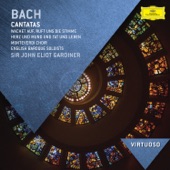 J.S. Bach: Cantatas artwork
