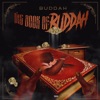 Buddah - Buddah Day