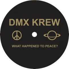 What Happened to Peace? - Single by DMX Krew album reviews, ratings, credits