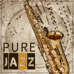 Pure Jazz – Lounge Ambient by Instrumental Jazz Music Ambient album reviews, ratings, credits
