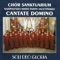 Cantate domino - psalm 150 artwork