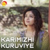 Karimizhi Kuruviye (Recreated Version) - Single