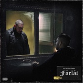 Förlåt (feat. Raees) artwork