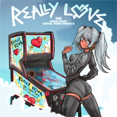 Really Love (feat. Craig David & Digital Farm Animals) - Single