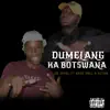 Dumelang Ka Botswana (feat. Navie Drill & Action) - Single album lyrics, reviews, download