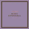 Blues Experience album lyrics, reviews, download