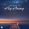 Nenad J. - Sunset Flight