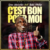 C'est Bon Pour Moi (feat. Bebi Philip) artwork