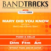 Mary Did You Know [Band Tracks] [Piano & Cello Style] [Musicians Performance Backing Tracks] artwork