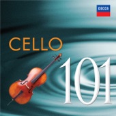 Antonín Dvořák - Cello Concerto in B minor, Op.104: 2. Adagio ma non troppo