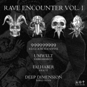 Rave encounter, Vol. 1 - EP artwork
