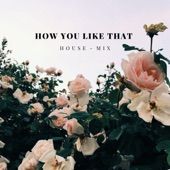 How You Like That (House Mix) artwork