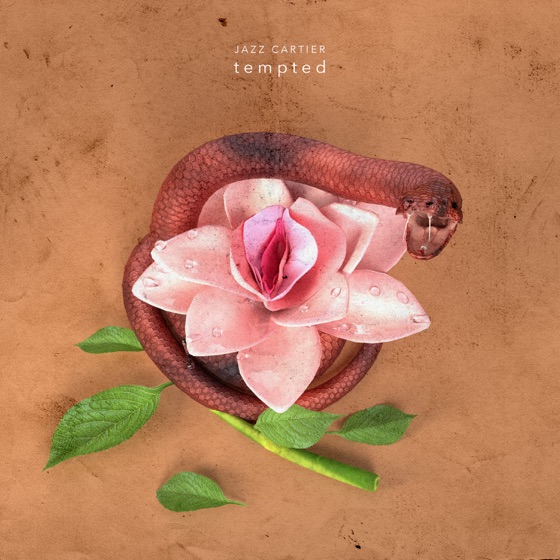 Cover artwork for Tempted