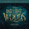 Into the Woods (Instrumental Songs Version) album lyrics, reviews, download