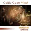 Celtic Calm Mind album lyrics, reviews, download